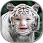 Logo of Tiger Photo Frames android Application 