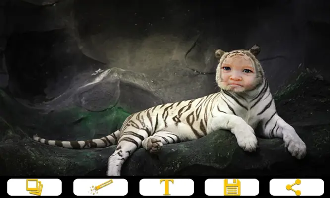 Tiger Photo Frames android App screenshot 0