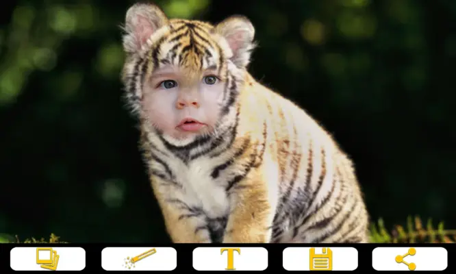 Tiger Photo Frames android App screenshot 1