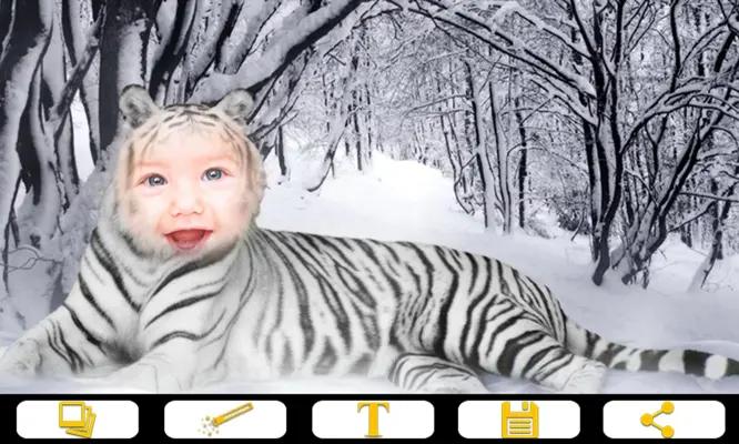 Tiger Photo Frames android App screenshot 2