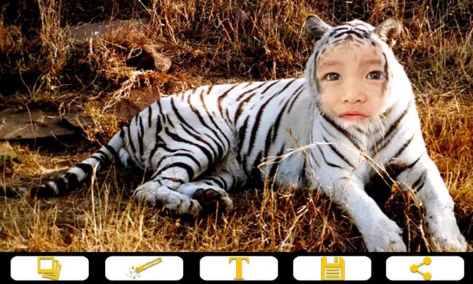 Tiger Photo Frames android App screenshot 3