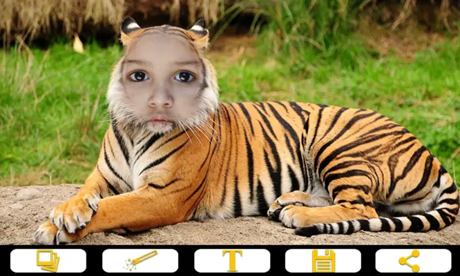 Tiger Photo Frames android App screenshot 4